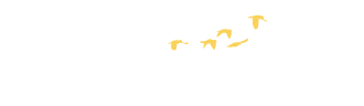 sunbirdie wl logo