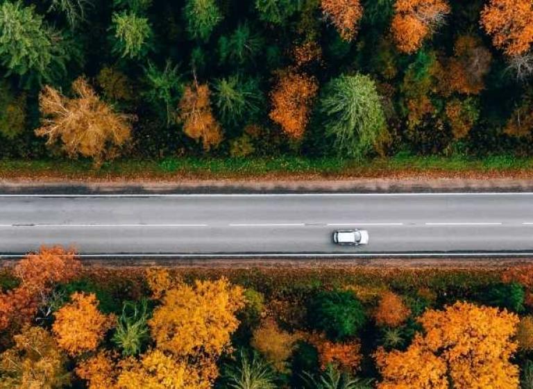 bil kör på väg bland träd